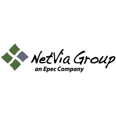 NetVia Group's Logo