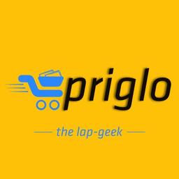 Prism Global Innovations | Priglo® Logo