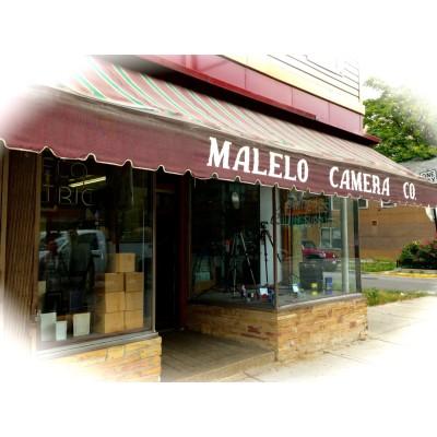 Malelo and Company's Logo