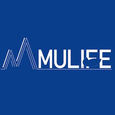 Mmulife Limited's Logo