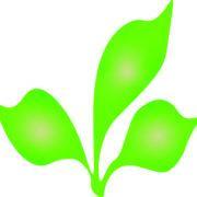 Eco Island worldpositivecompany's Logo