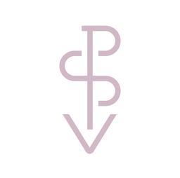 Pink Salt Ventures's Logo