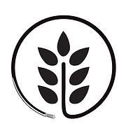 Grain Tech's Logo