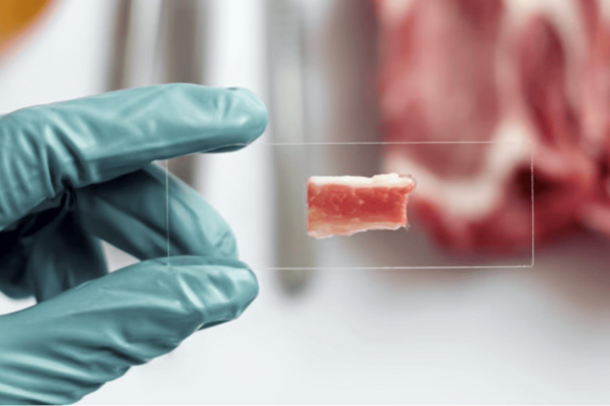 Image for This Deep Tech Firm Is Positioned To Lead the Cultivated Meat Manufacturing Revolution | Entrepreneur