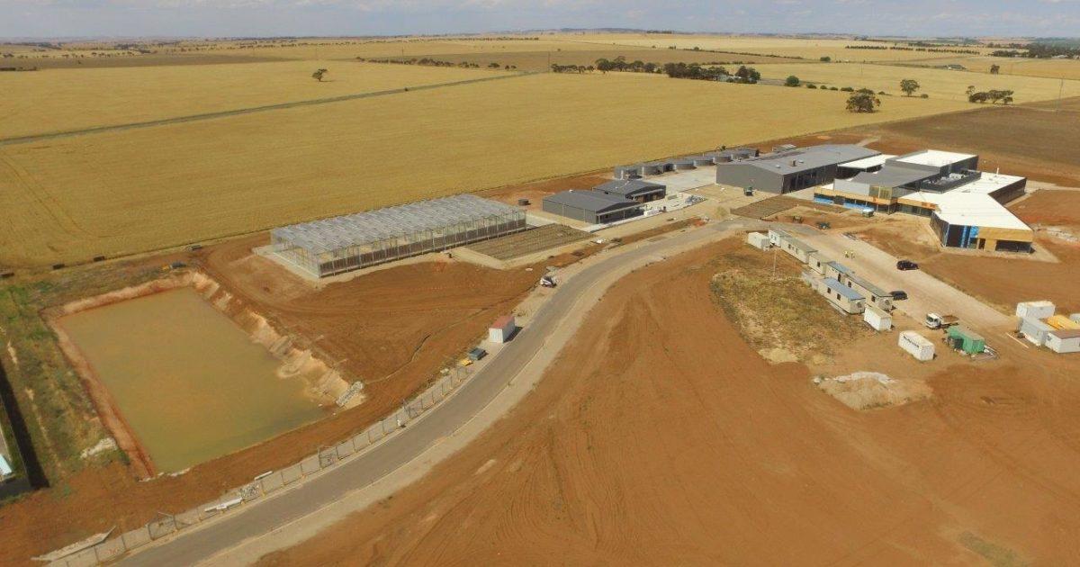 World Class Plant Breeding Facilities… | Australian Grain Technologies