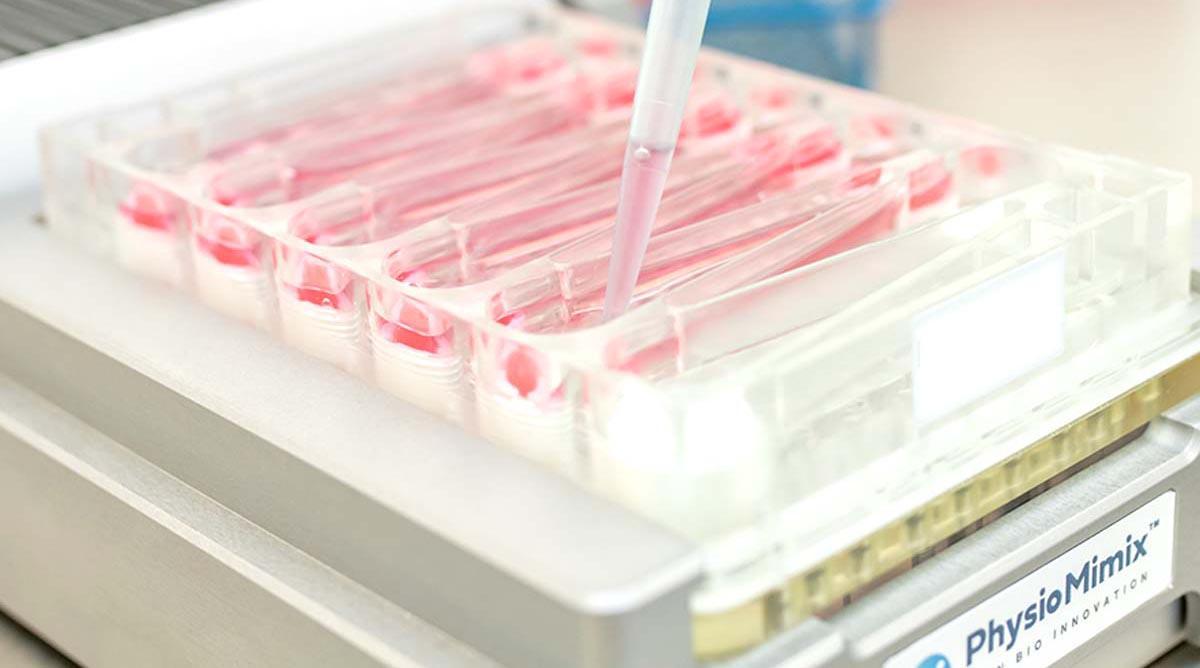 Product Human In Vitro Pharmacokinetics | Oncology Services | CN Bio image