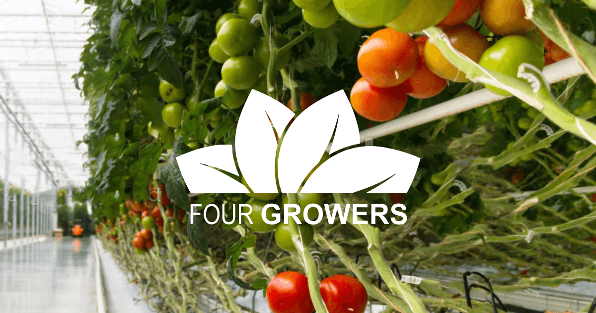 Home | Four Growers