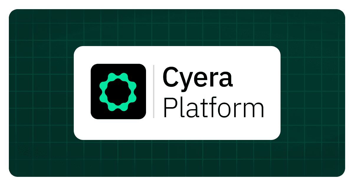 Product Cyera Platform | Data Security Platform image