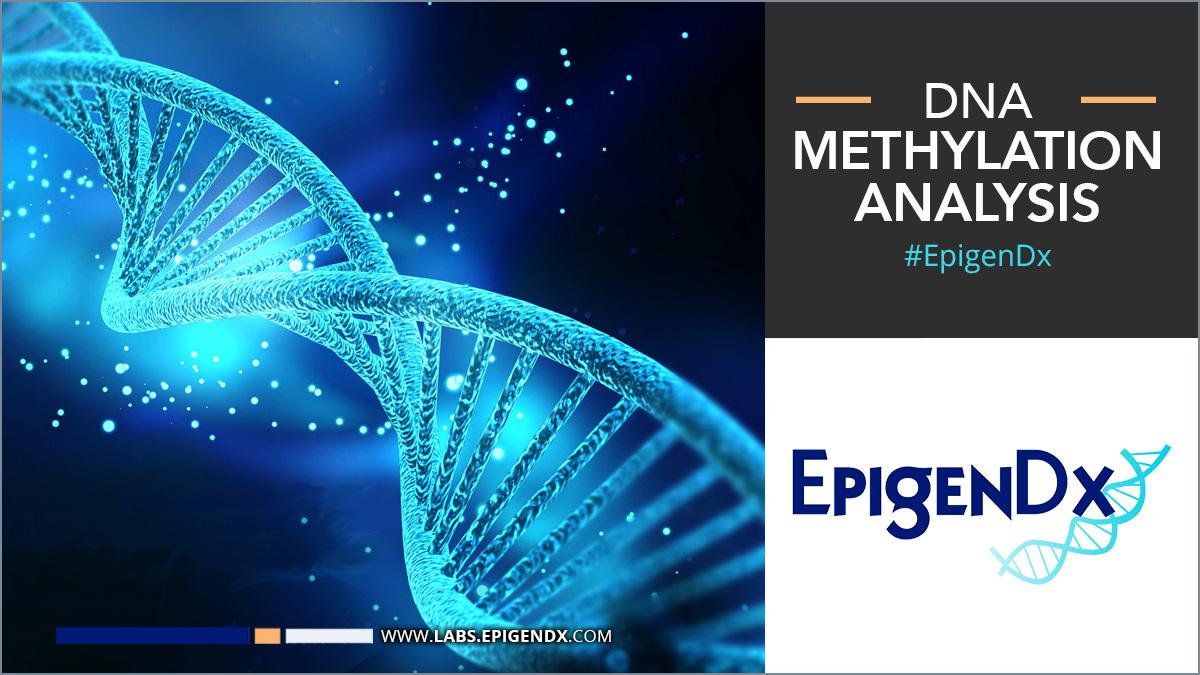 DNA Methylation Analysis - Epigenetics - EpigenDx