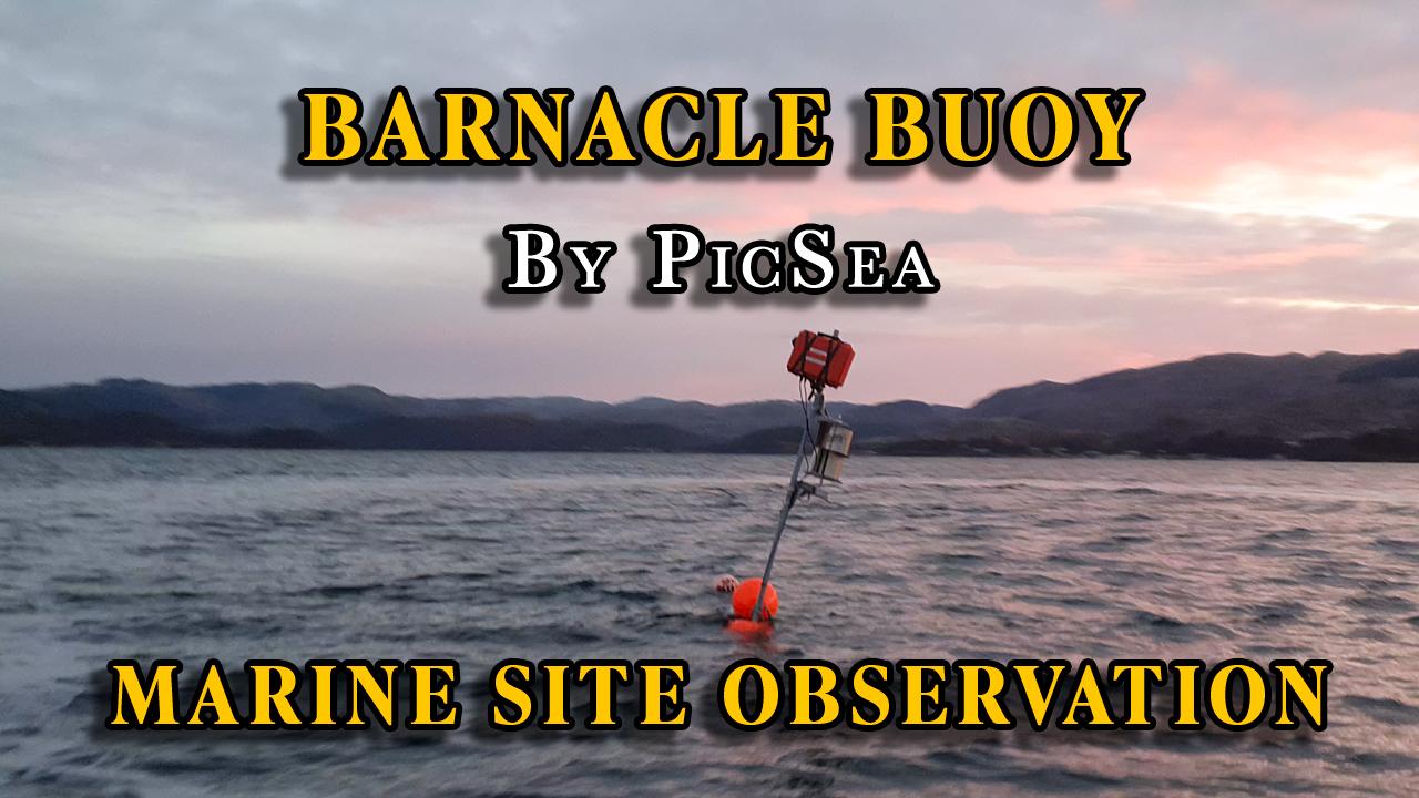 Product Marine Environment Observation with PicSea's Barnacle Buoy image