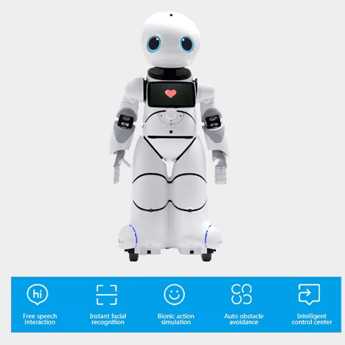 Image for AI Humanoid Commercial Service Robot SIFROBOT-6.0 - SIFROBOT - by SIFSOF, California