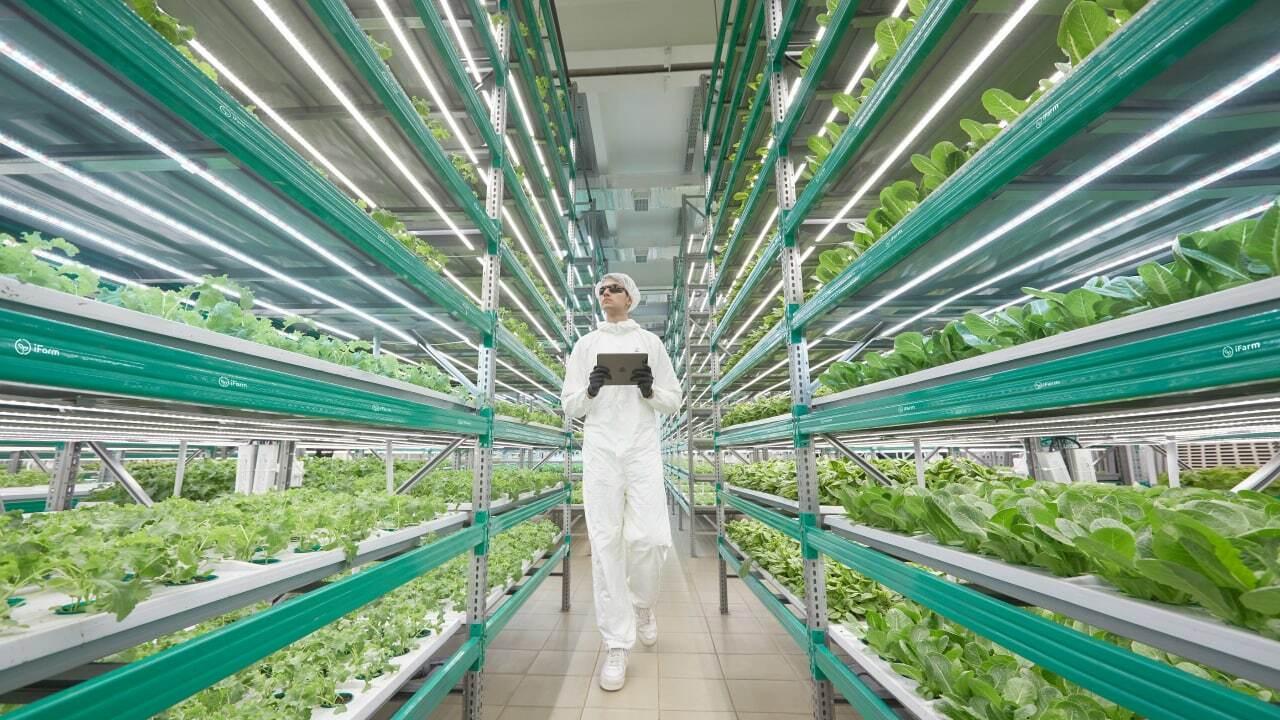 Product Vertical farming business planning services image