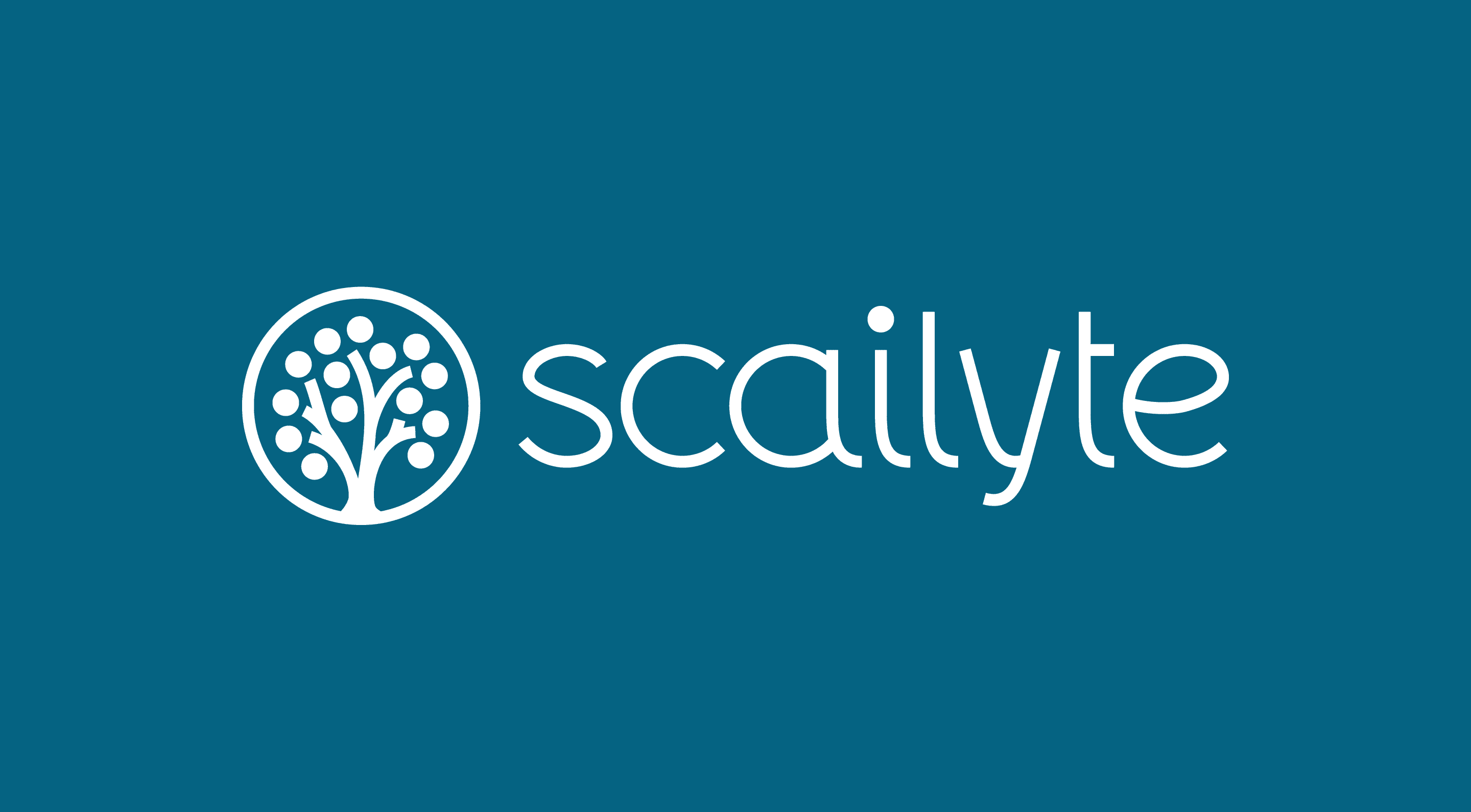 Image for Scailyte - Swisscom Ventures