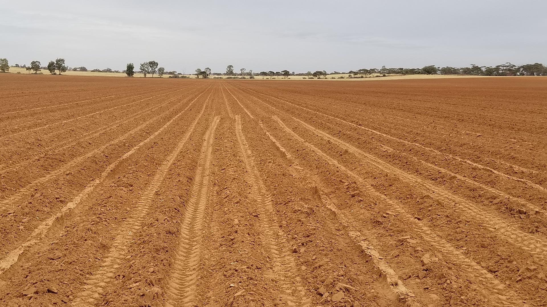 Home Profitable, Sustainable Agriculture | WAFarmers
