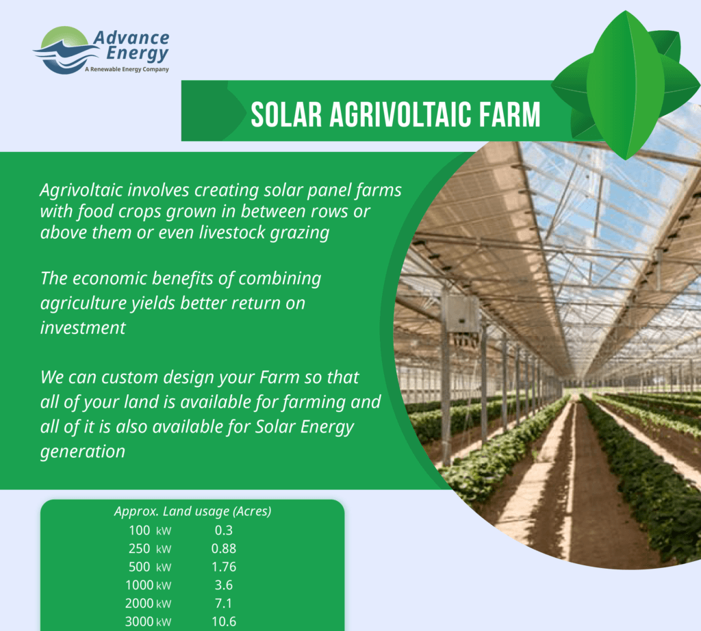 Image for Solar Agrivoltaic Farm - Advance Energy Solutions