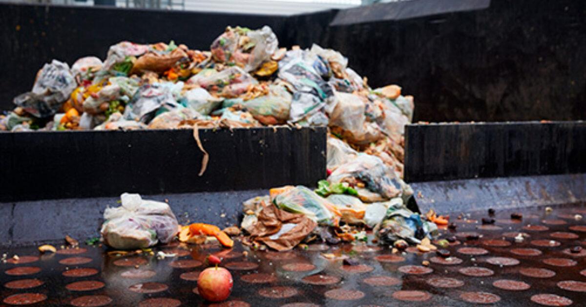 Food waste recycling | Agrivert