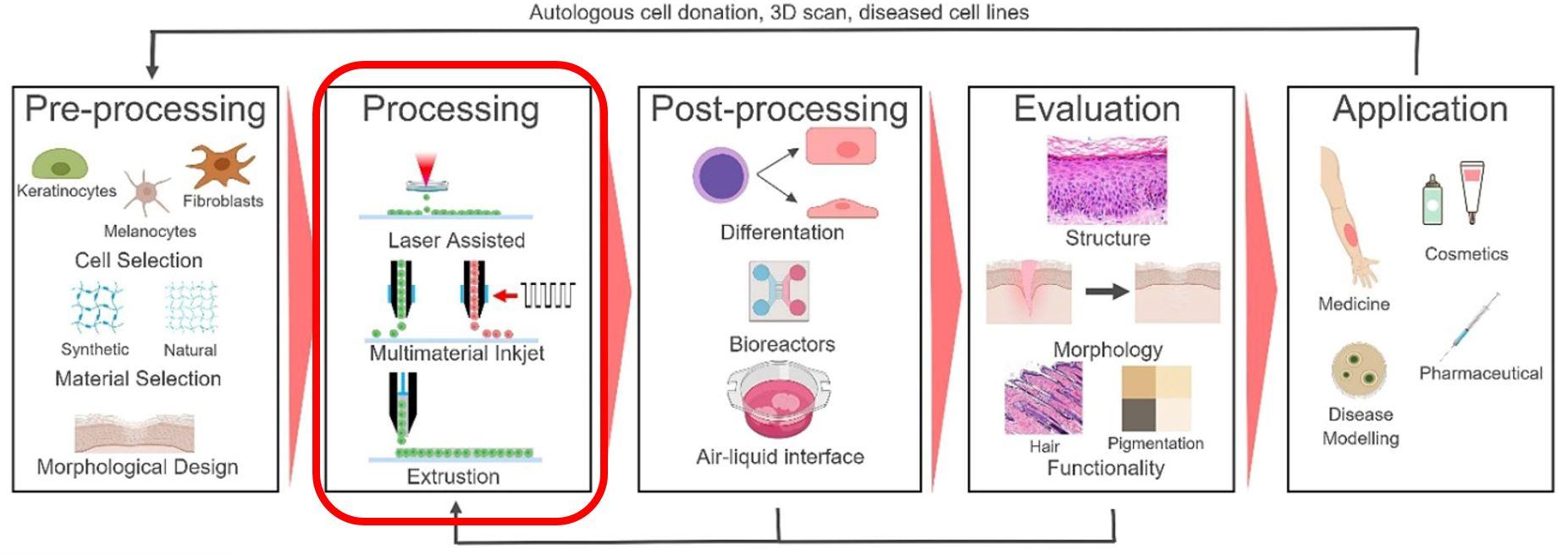 What is Bioprinting – Part 3 of 6: Bioprinting Techniques