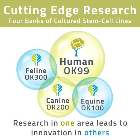 Image for Stem Cell Technology - Cutting Edge Research | Celavie Biosciences