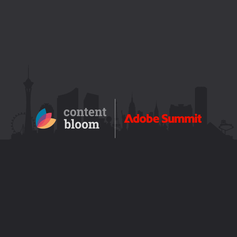 Product Exclusive Adobe Consultancy Packages - Content Bloom image