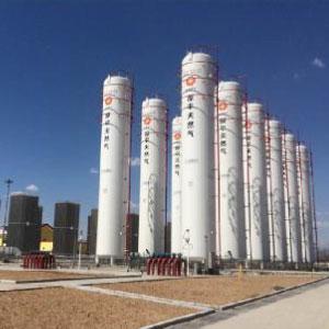Image for Vertical Cryogenic Tank - GMS Interneer, oil and gas equipment provider