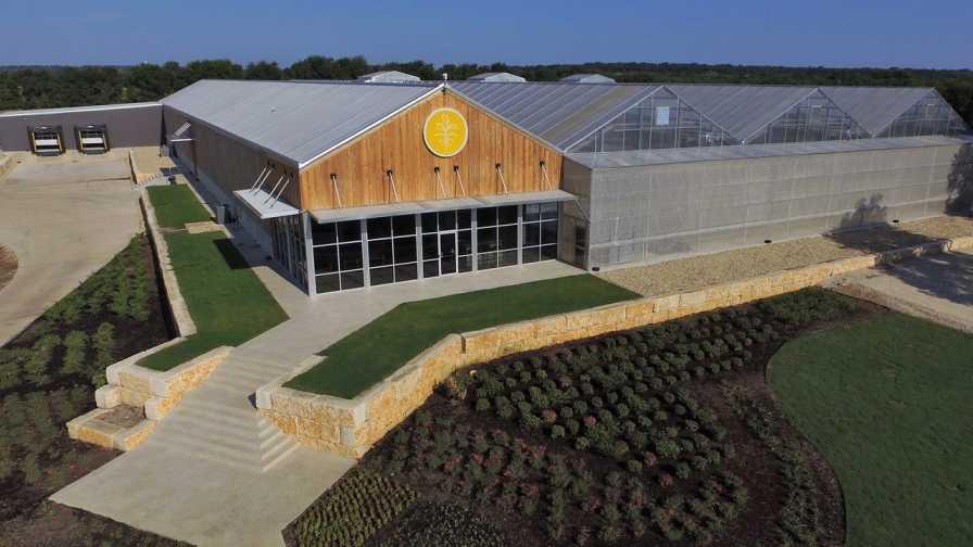 Image for Texas Lettuce Grower Finds Success in Automated Harvesting - Greenhouse Grower