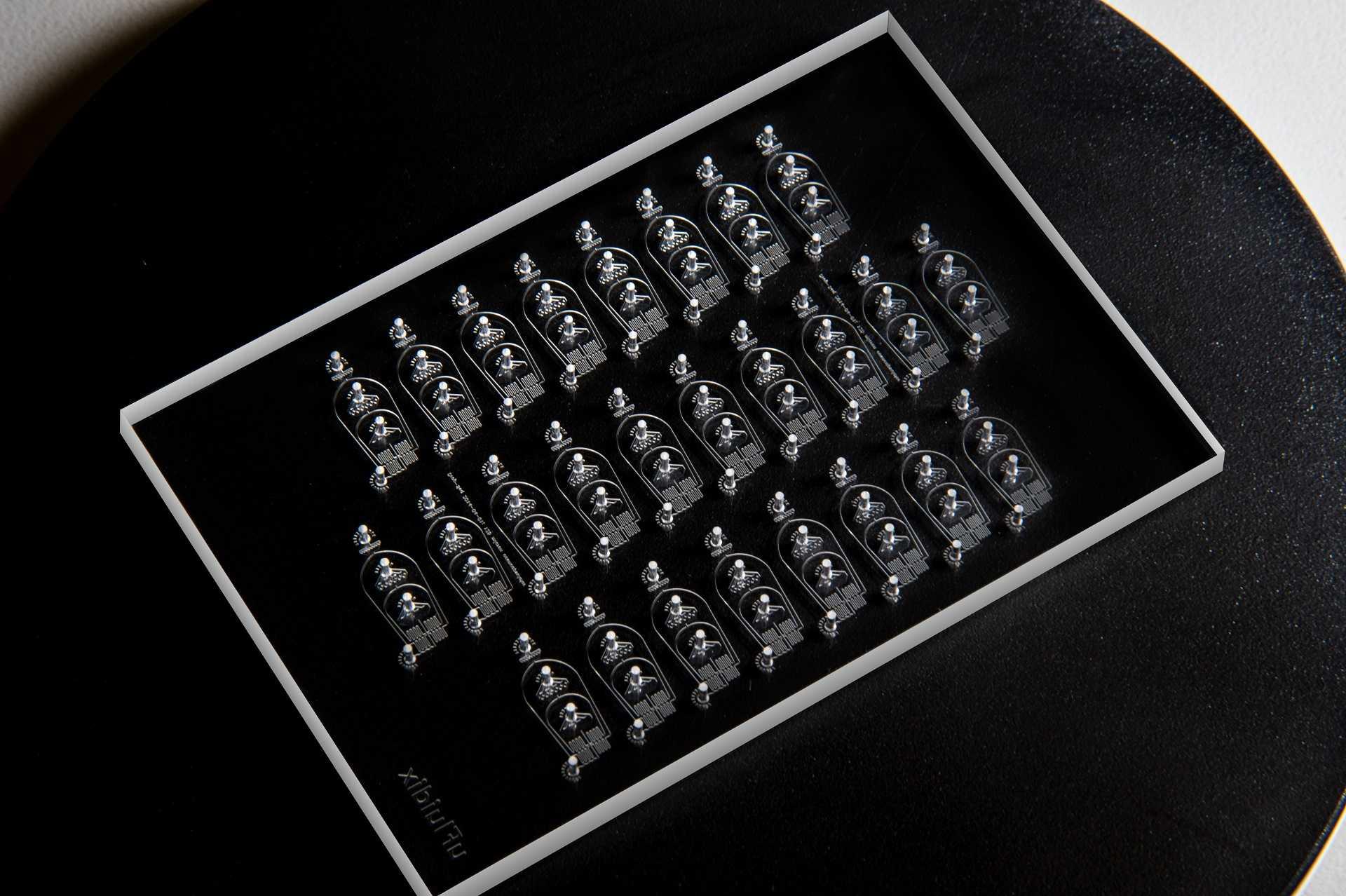 Image for Dropseq Microfluidic Chip | Microfluidics Product | uFluidix