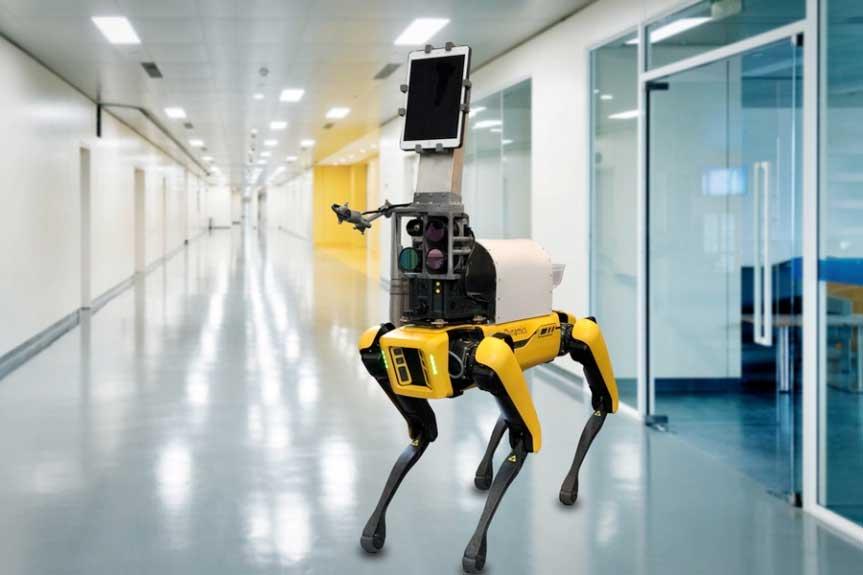 Spot the Robot Dog Monitoring COVID-19 Patients - Robot News