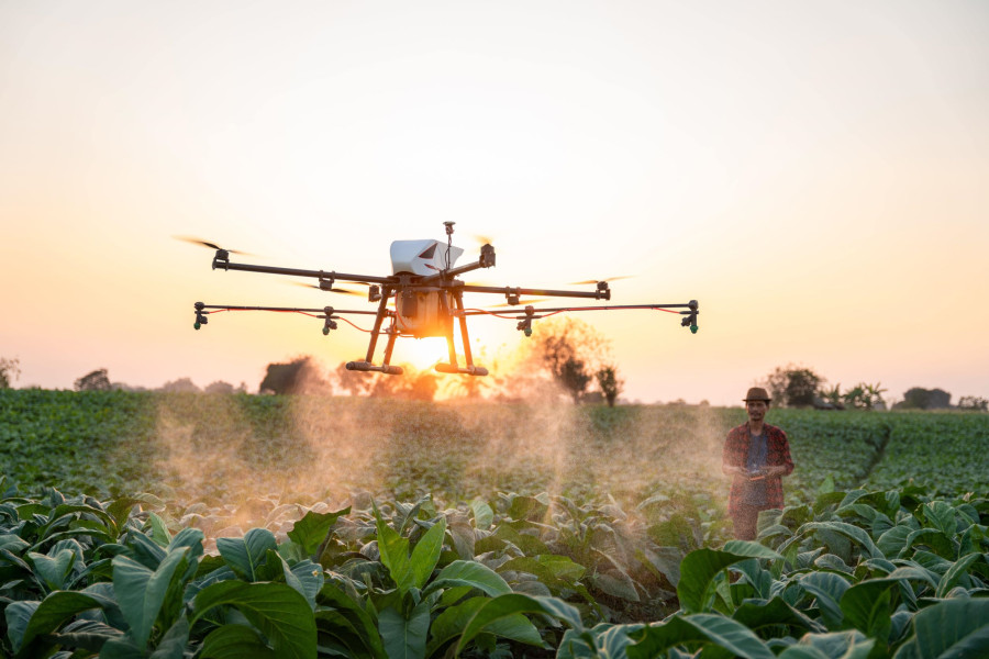 Drohne welche über ein Feld fliegt und Pestizide verteilt und zeitgleich vom Menschen gesteuert wird