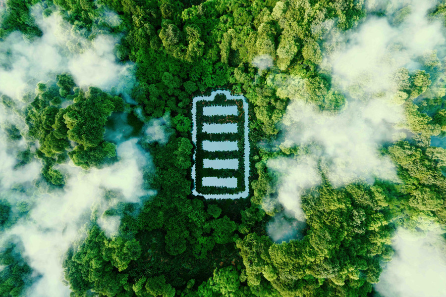 A jungle from above. In the middle, a battery is drawn in white on the trees.