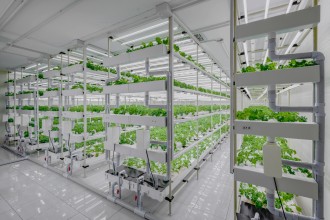 Eine Vertikale Farm in einer sauberen Umgebung