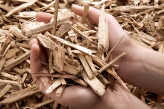 a hand holding wood shavings against a background full of shavings